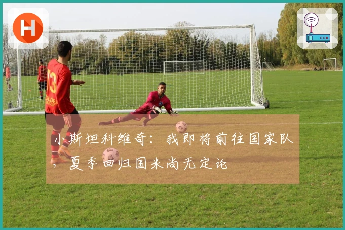 小斯坦科维奇：我即将前往国家队，夏季回归国米尚无定论